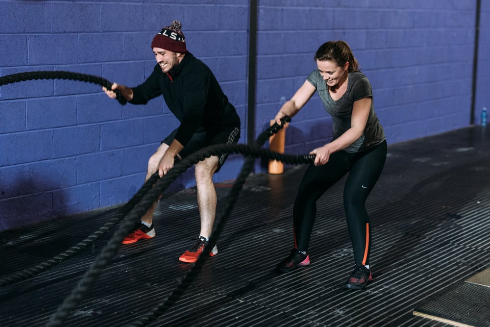 Image of Active IQ Level 2 Certificate in Fitness Instructing (Gym)