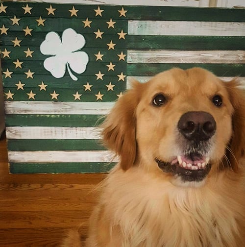 Image of Large American Shamrock Flag