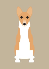 Image 1 of Basenji, Blue Tick Hound, Brittany Spaniel Collection
