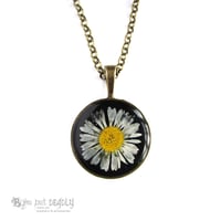Image 2 of Pressed Real Daisy Pendant