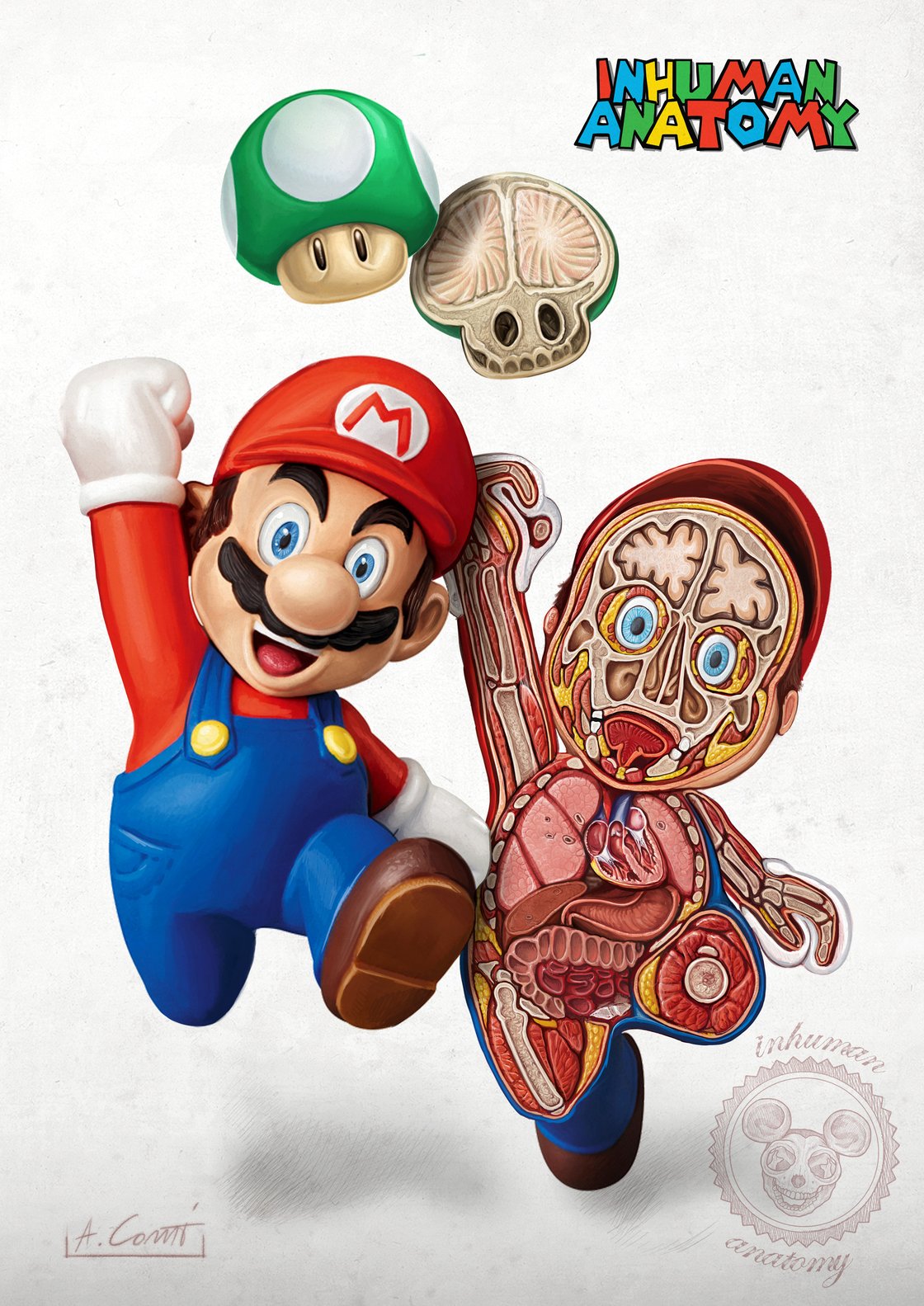 Image of SUPER MARIO- SWITCH ANATOMY  limited edition of 100 Giclèe print on fine art canvas