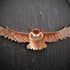 Gliding Owl Necklace Image 2