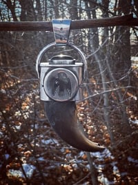 Image 1 of Bear Claw / Gold sheen Obsidian Pendant 
