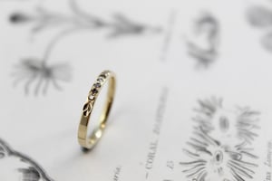 Image of 18ct gold champagne diamond set ring