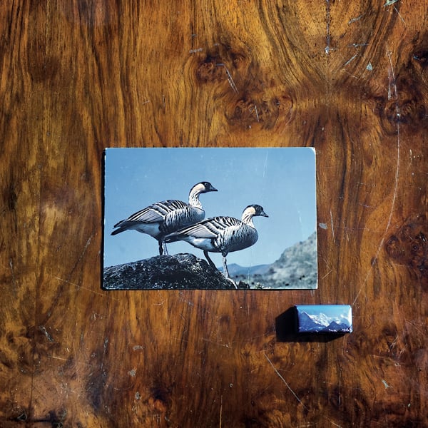 Fine Before You Came: Il numero sette LP/CD