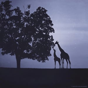 Image of Giraffe Silhouette Overlay 