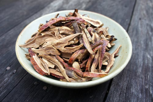 Image of REISHI MUSHROOM spagyric tincture - alchemically enhanced plant extraction