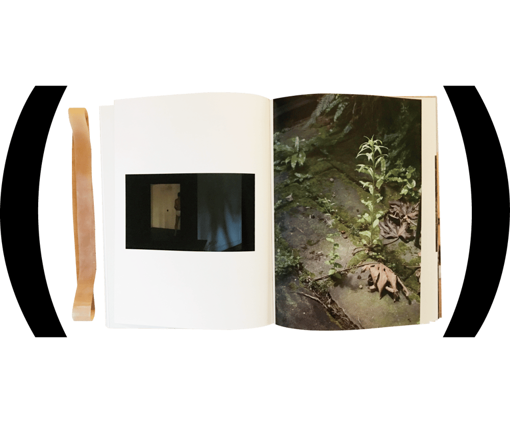 MODEST) BOOKS — (Wolfgang Tillmans) (ヴォルフガング