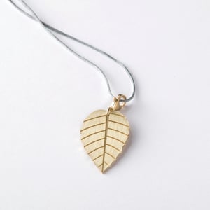 Image of little leaf_brugmansia_grüngold