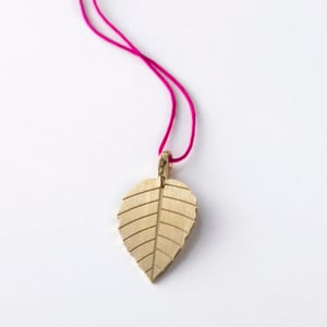 Image of little leaf_brugmansia_grüngold