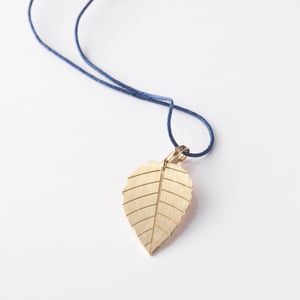 Image of little leaf_brugmansia_grüngold