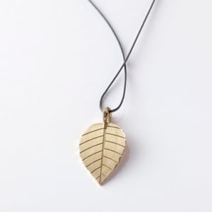 Image of little leaf_brugmansia_grüngold