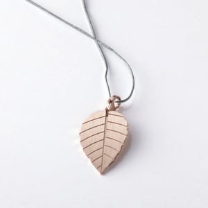 Image of little leaf_brugmansia_roségold