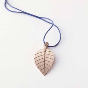 Image of little leaf_brugmansia_roségold