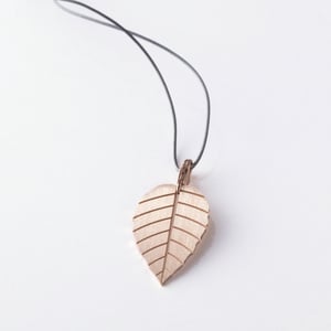 Image of little leaf_brugmansia_roségold