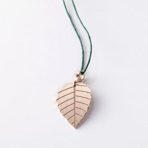 Image of little leaf_brugmansia_roségold