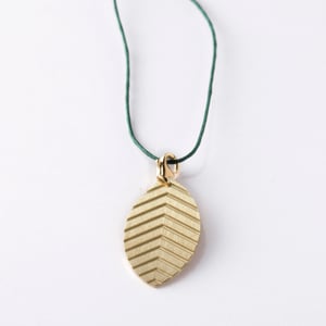 Image of little leaf_nicotiana tabacum_grüngold