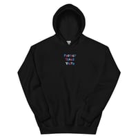 Image 1 of PROTECT TRANS YOUTH  - Embroidery Hoodie (Trans Colours )