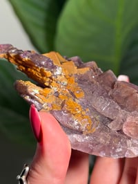 Image 2 of NATURAL RAINBOW IRIDESCENT CUBIC FLUORITE -CHINA- C