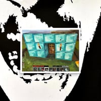 Diamond House Poster Print