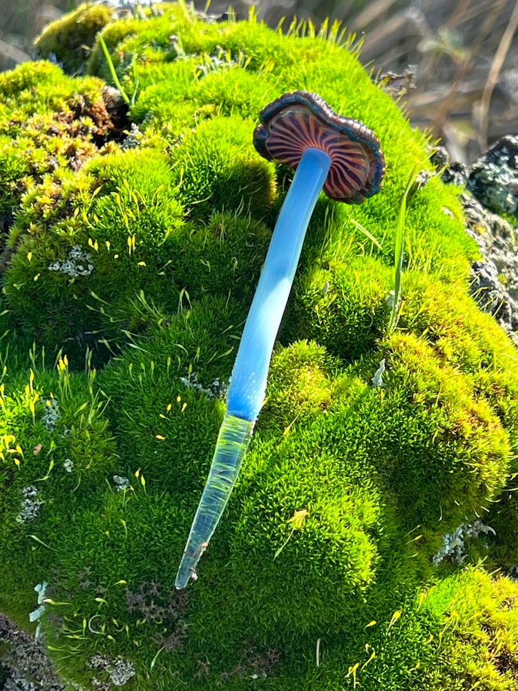 Image of Blue Staining Mushroom Plant Spike 2