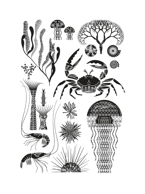 Image of Dans la mer