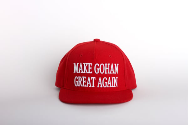 Image of Red "Make Gohan Great Again" Snap back hat