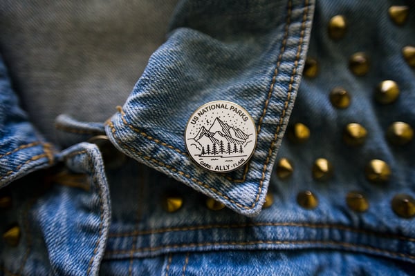 Image of US National Parks Ally Pin