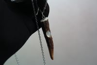 Image 1 of dead good antler and moonstone pendant on long chain