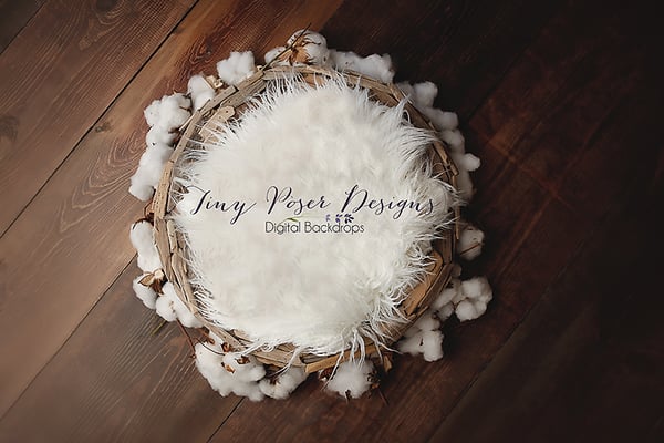 Image of Driftwood and Cotton Bowl - Newborn Digital Backdrop