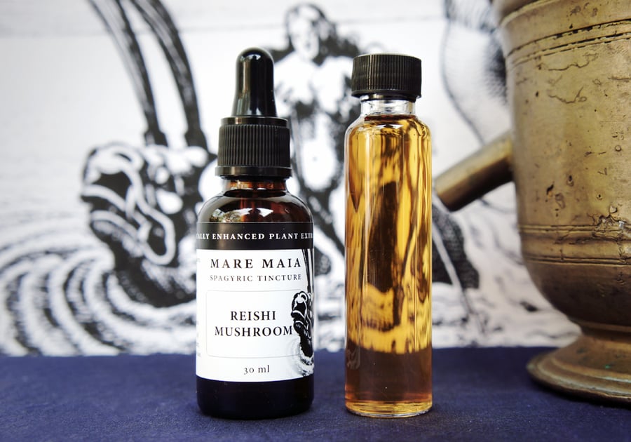 Image of REISHI MUSHROOM spagyric tincture - alchemically enhanced plant extraction