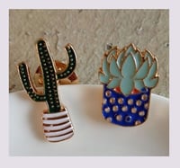 Les pin's: Les cactus et les succulents 