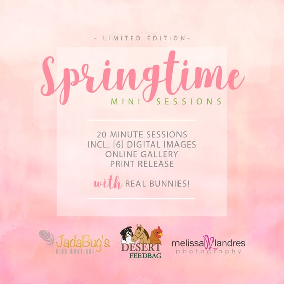 Image of Limited Edition "Springtime" Mini Sessions at Jadabug's