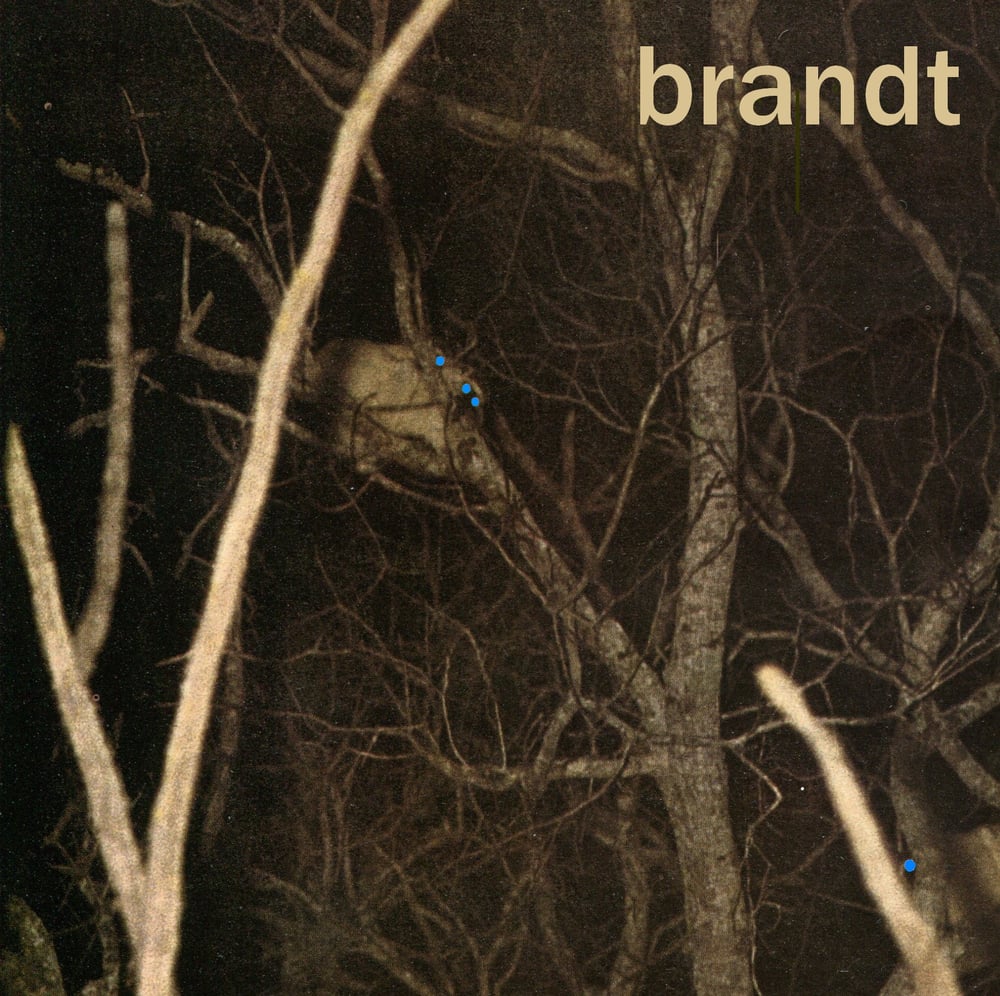 Image of Brandt — "s/t" (7")