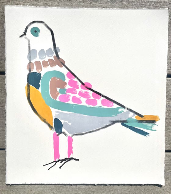 Image of Mustard breasted monoscreenprinted pigeon