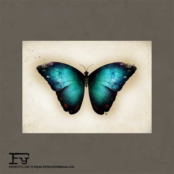 Image of Butterflies & Moths