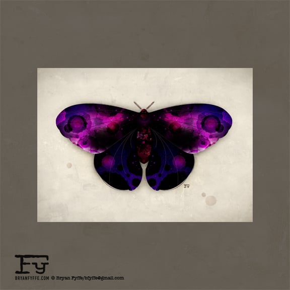 Image of Butterflies & Moths