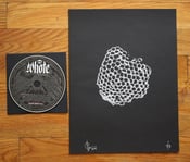 Image of Print: Hive + Moons CD