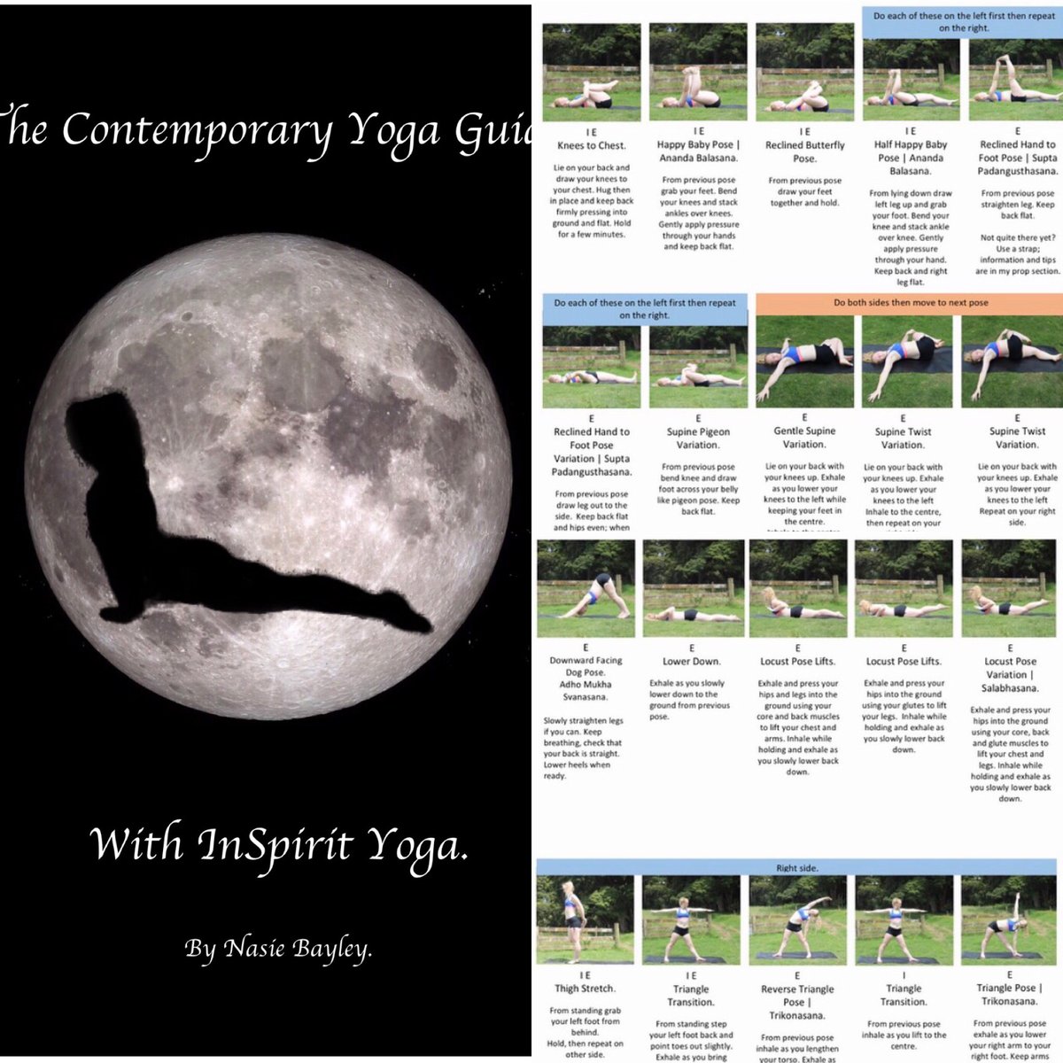 Image of The Contemporary Yoga Guide