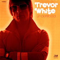 Image 1 of TREVOR WHITE "Understood" 7" single JAW033