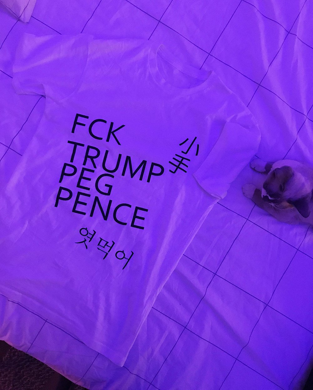 Image of ASIA BOOTLEG T