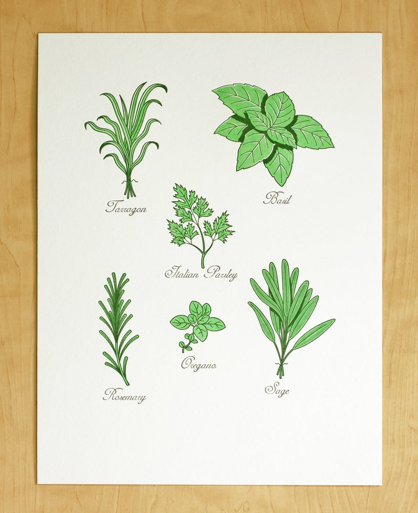 Image of GARDEN HERBS Print