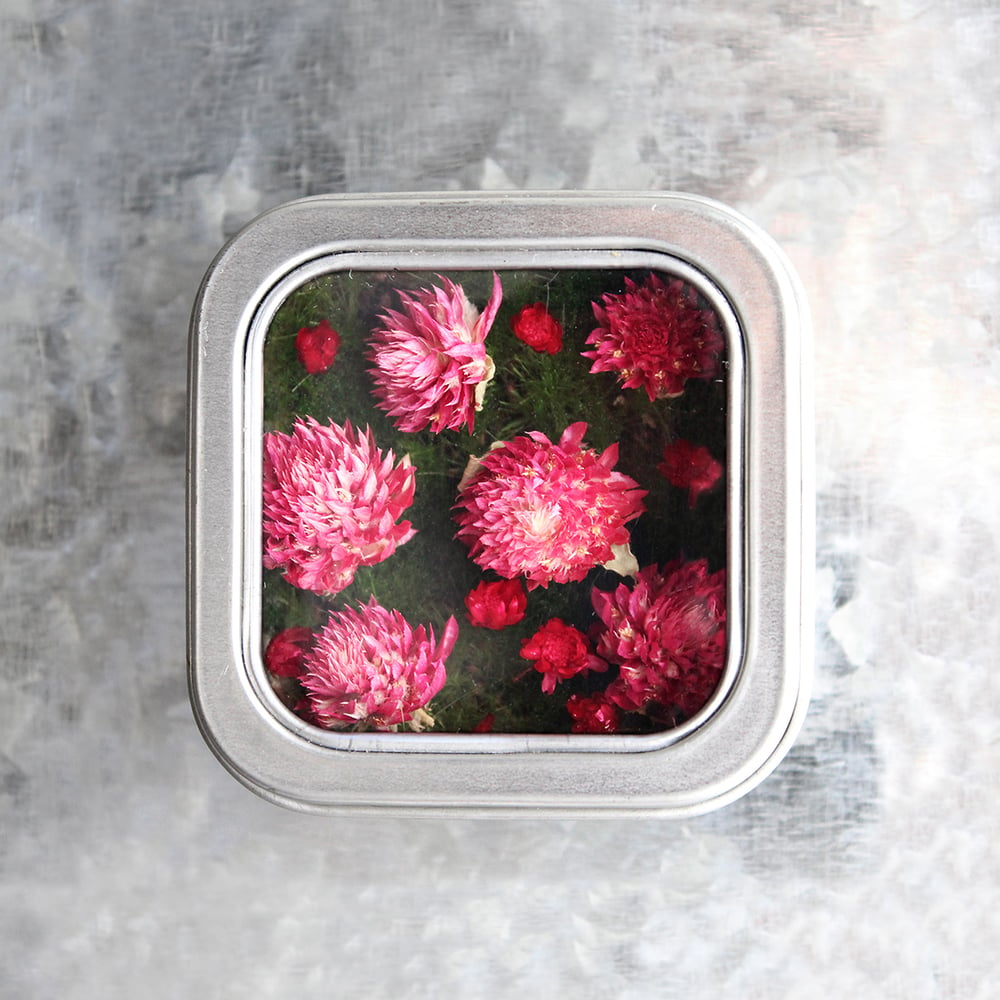 Image of Flower Magnet, Miniature Garden Fridge Magnet