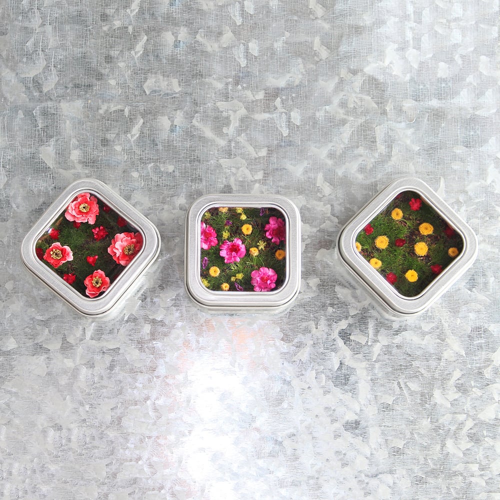 Image of Flower Magnet, Miniature Garden Fridge Magnet