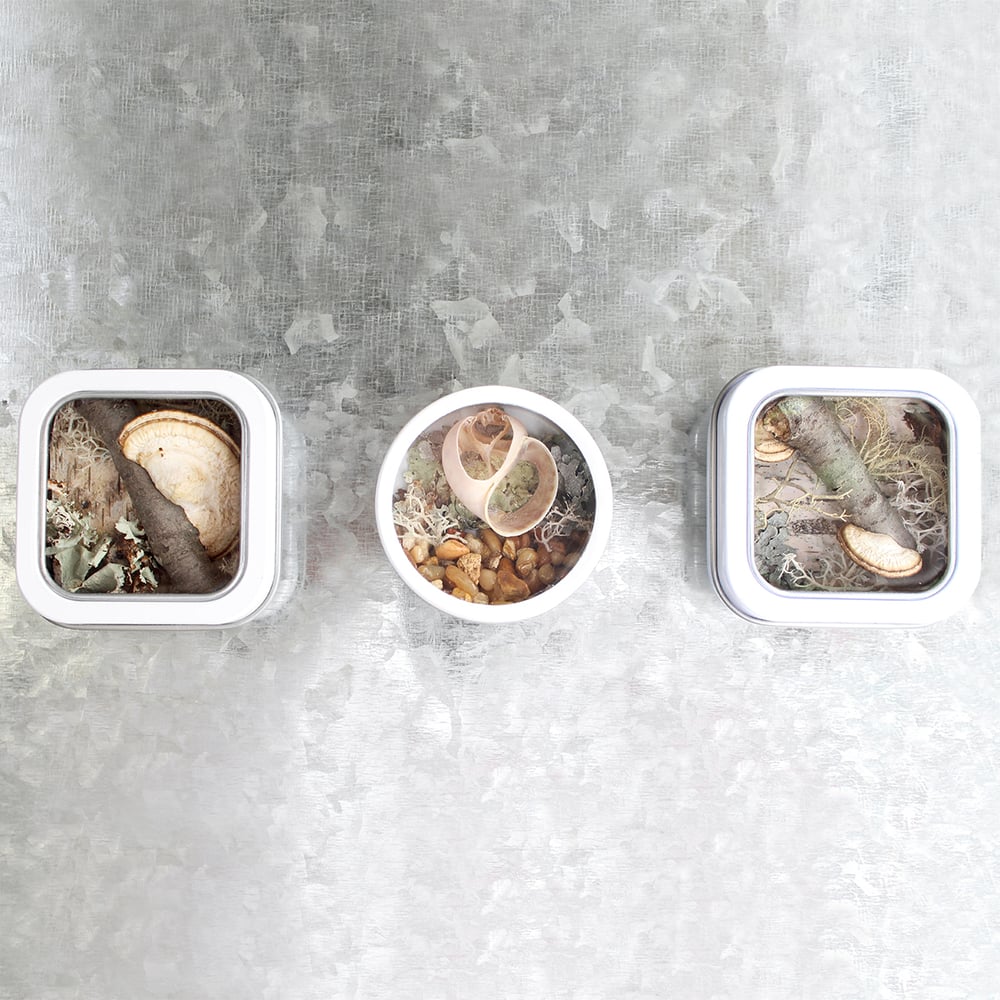 Image of Seashell Kitchen Art, River-themed Fridge Magnet