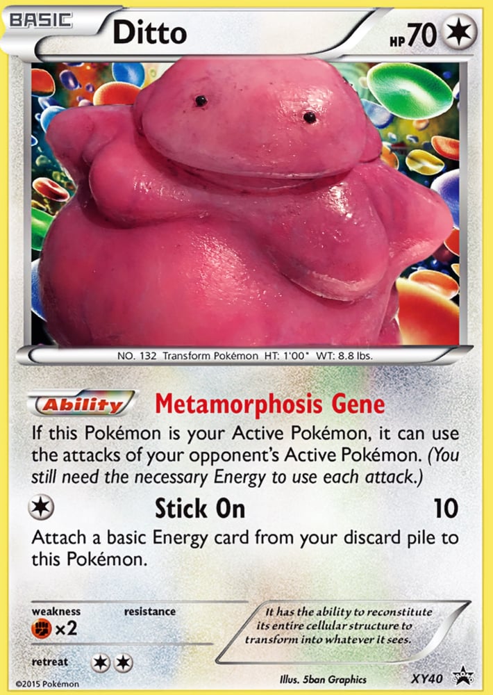 Image of Ditto