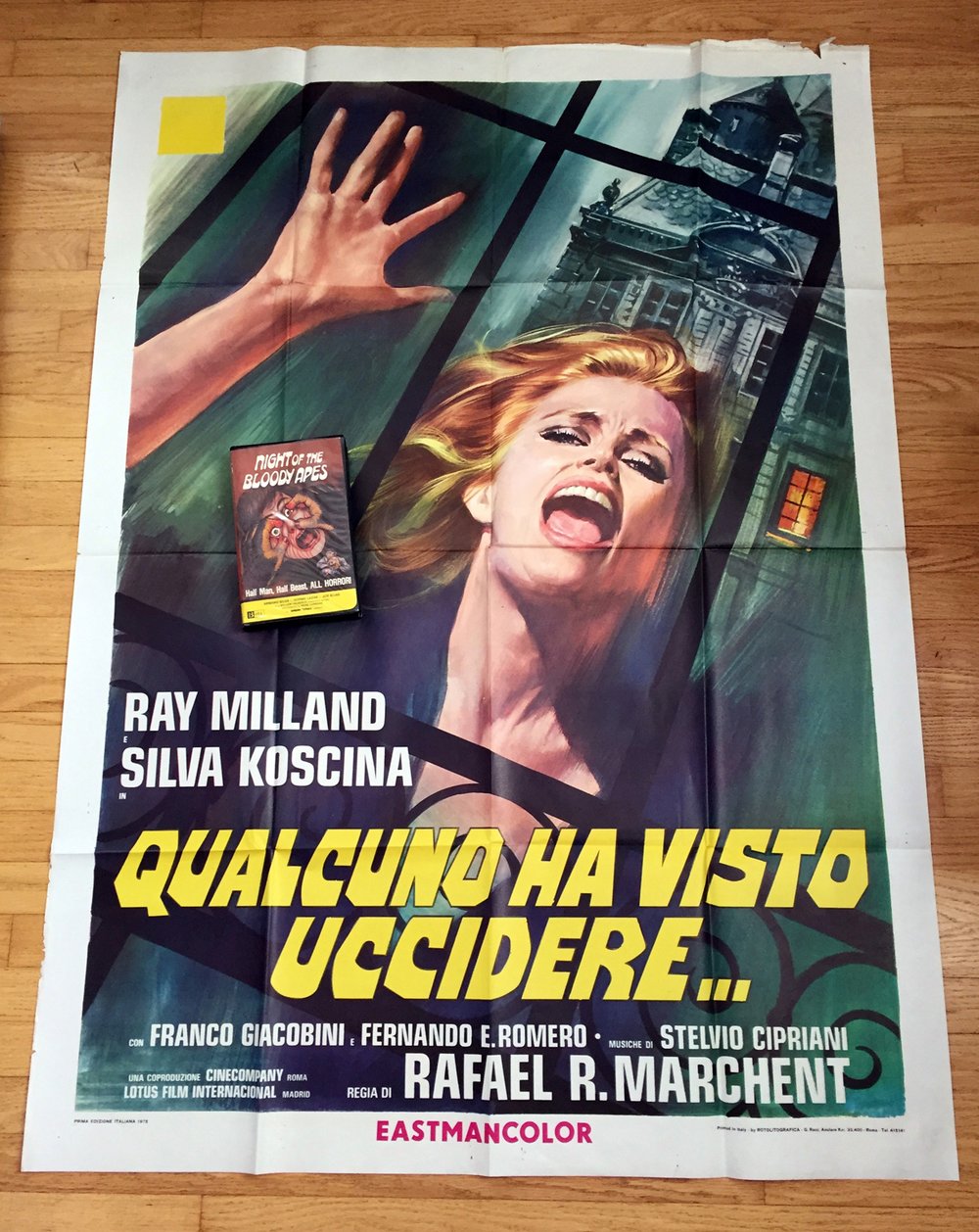 1975 STUDENT CONNECTION aka WITNESS TO MURDER Original Italian One Panel Movie Poster