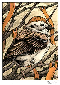 Image 1 of Sparrow Print Matted 8x10