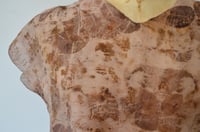 Image 5 of eco print silk tissue tee in rose