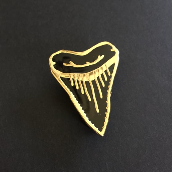 Image of El Jefe Shark Tooth